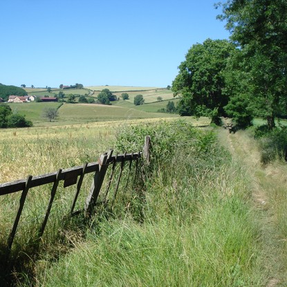 Image de couverture : Gîtes Saône et Loire
