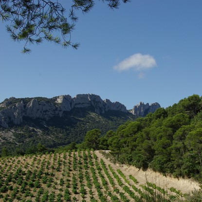 Cover image: Chambre d'hôtes à Gigondas