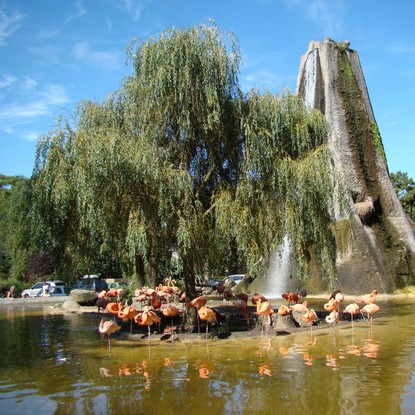 Image de couverture : Zoo de la Palmyre