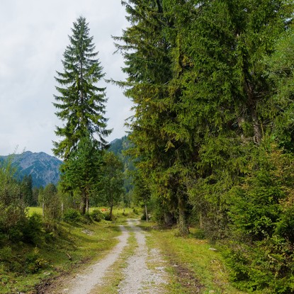 vue de Les Alleux ardennes