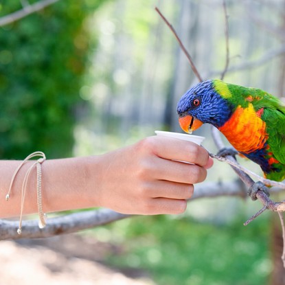 Image de couverture : Parc des Oiseaux à Villars-les-Dombes