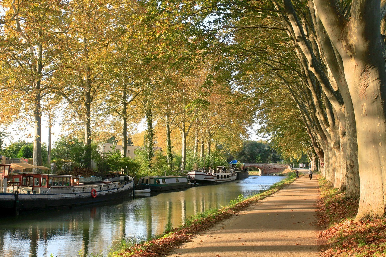 Image de couverture : Location de vacances Toulouse
