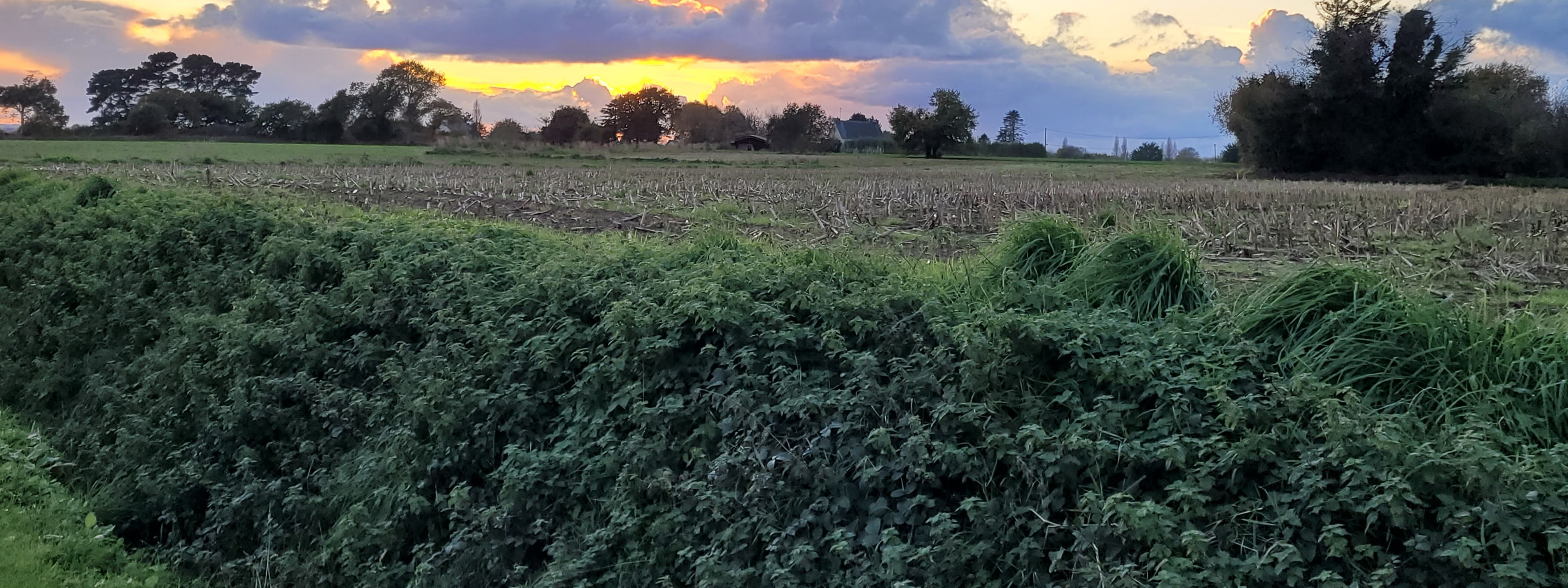 Image de couverture : Gîtes à Pléhédel