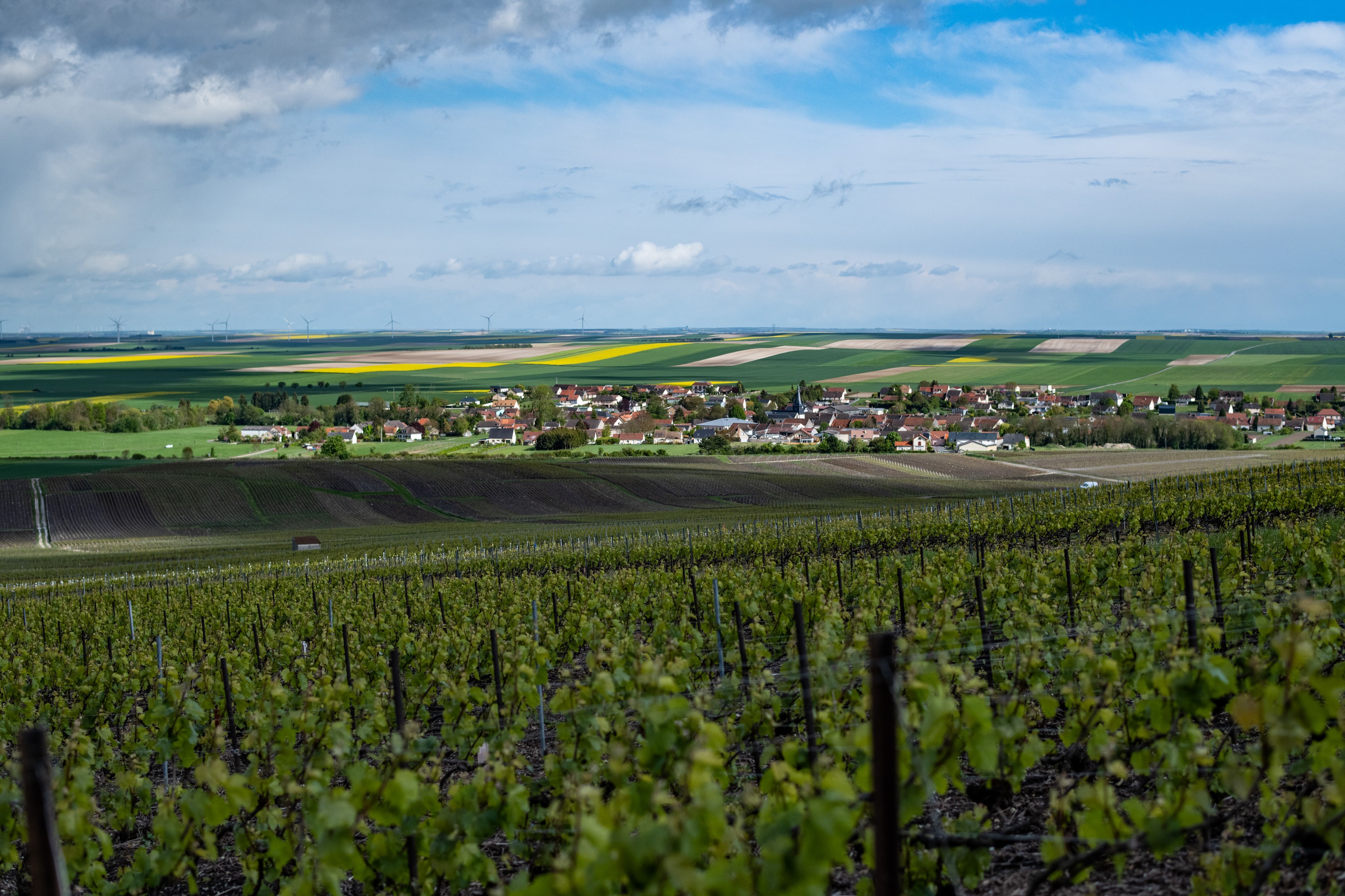 Image de couverture : Location Vacances Nogent-l'Abbesse : Gîte au Cœur des Vignes près de Reims