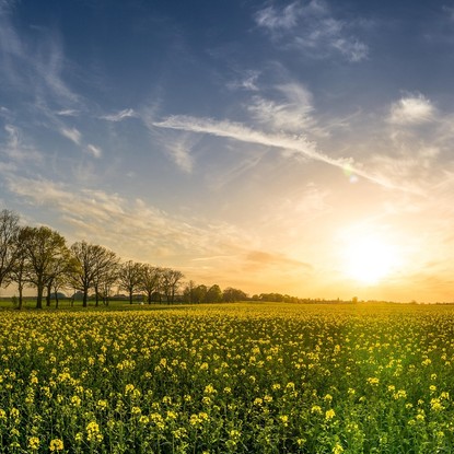 Vue sur la campagne et la nature de Arrentières 10 Aube