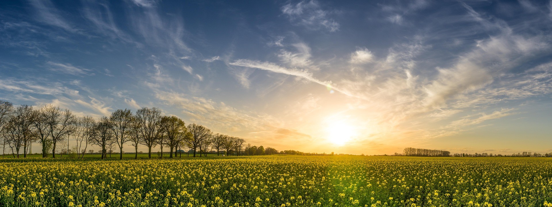 Vue sur la campagne et la nature de Arrentières 10 Aube
