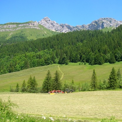 Cover image: Visitez le Parc naturel du Vercors en Isère – Nature et Aventure au Rendez-vous