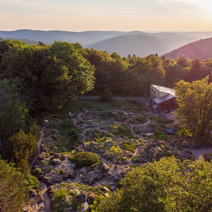 Vue des rocailles du jardin d’altitude depuis un drône. / ©Julien Decollogne/JBN