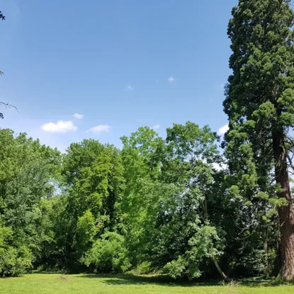 Cover image: Gîtes à Villers-Allerand (51500)