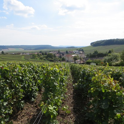 Image de couverture : Location de Gîtes à Fèrebrianges