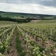 Image de couverture : Location de vacances à Le Breuil (51210)