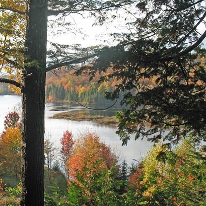 Vue sur le lac de la foret d'orient à Dienville 10 Aube