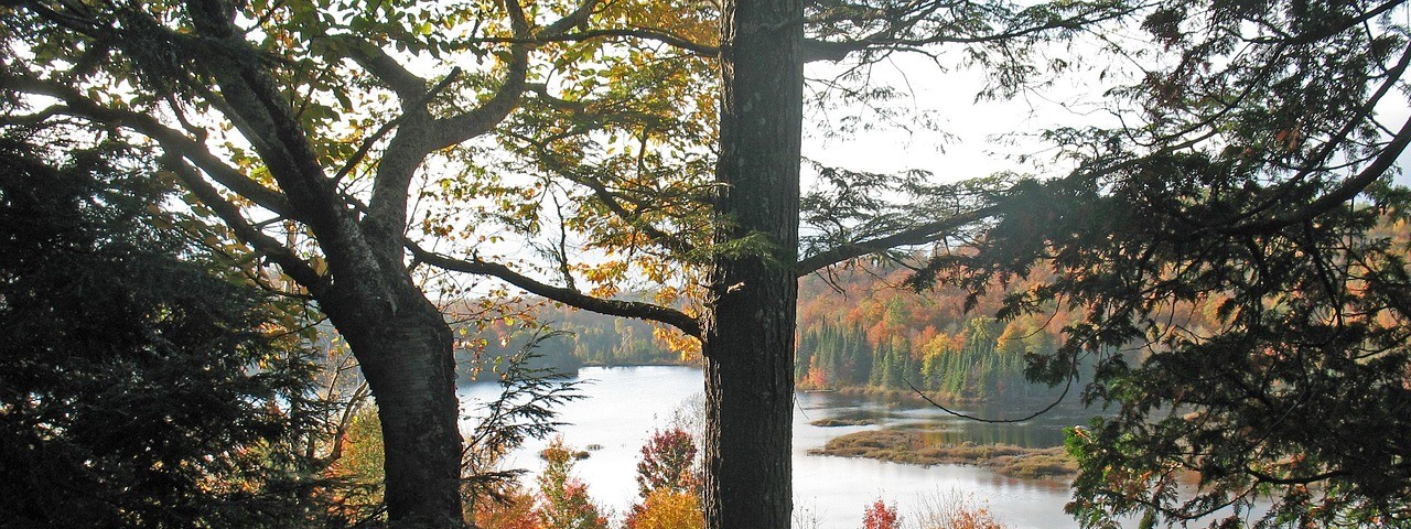 Vue sur la foret et l'eau à Soudron 51 Marne