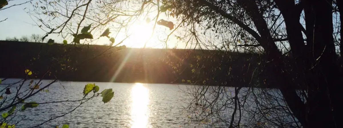 View of Lac de Sauville 08