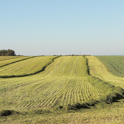 Vue sur la campagne à Fagnières 51 Marne