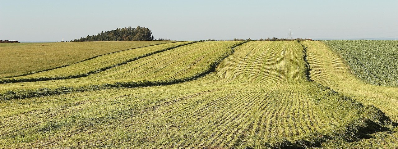 Vue sur la campagne à Fagnières 51 Marne