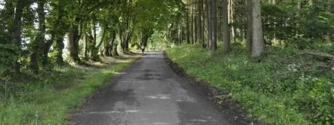 View of Escombres-et-le-Chesnois in the Ardennes (08)