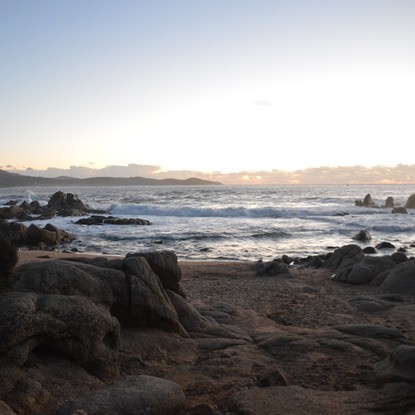 Copyright Foglìa Design