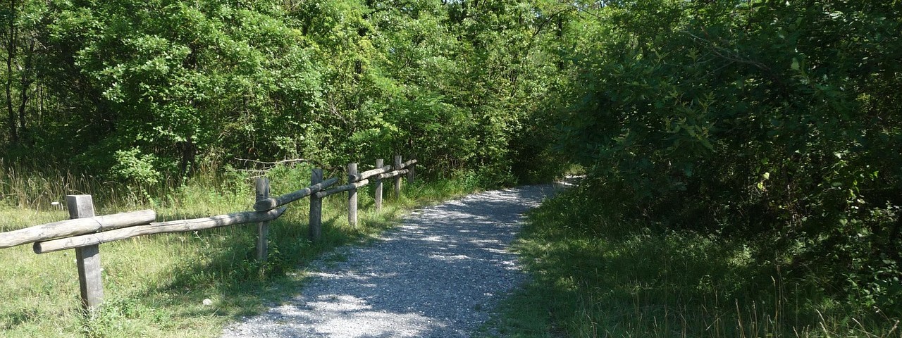 Vue chemin foret Saint-Benoît-sur-Seine 10 Aube