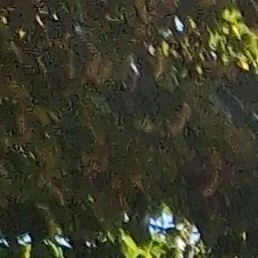 Quai du blavet, Saint-Nicolas-des-Eaux