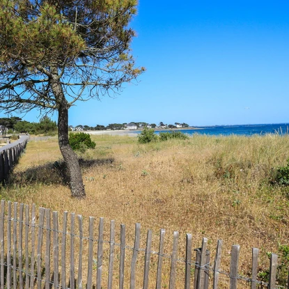 Image de couverture : Carnac et Locmariaquer : Terres de Mégalithes en Bretagne
