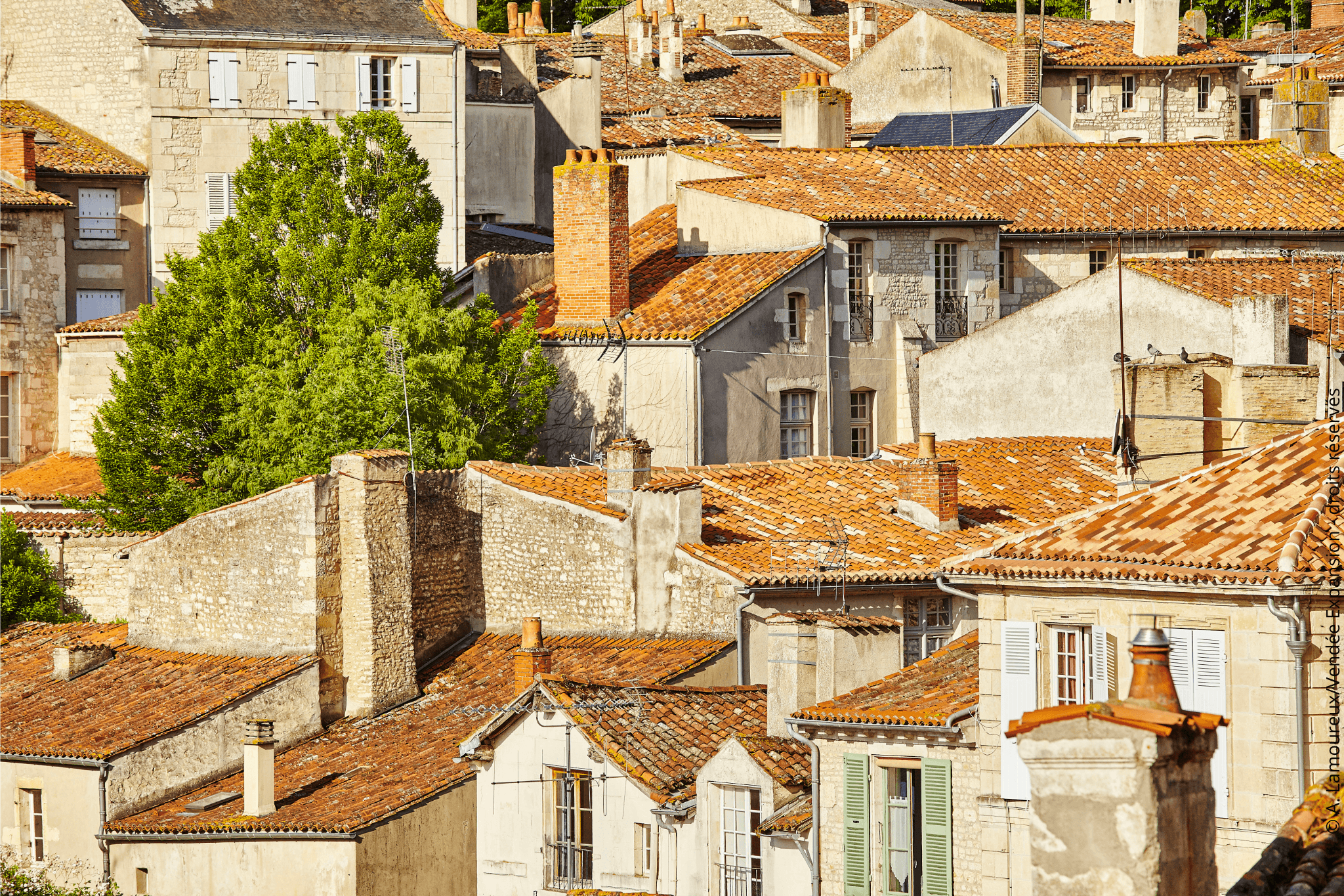 Cover image: Fontenay le Comte et ses environs : une destination d’exception en Sud Vendée