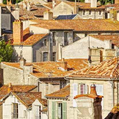 Cover image: Location de vacances Fontenay le Comte : destination d’exception en Sud Vendée
