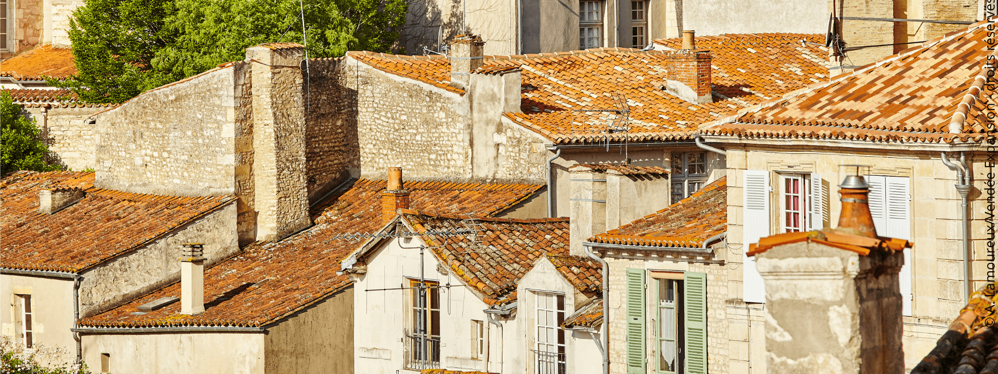 Cover image: Fontenay le Comte et ses environs : une destination d’exception en Sud Vendée