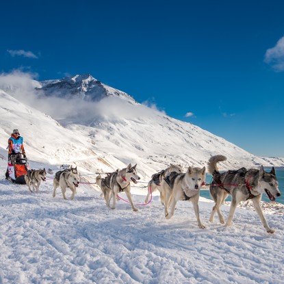Cover image: La Grande Odyssée Savoie Mont Blanc : un événement hivernal en altitude