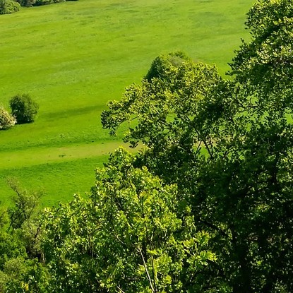 Vue de Bar-lès-Buzancy dans les ardennes