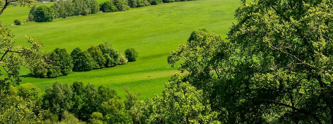 Vue de Bar-lès-Buzancy dans les ardennes