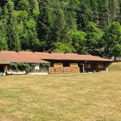 Image de couverture : Chambre d'hôtes à Ban-sur-Meurthe-Clefcy
