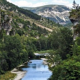 Cover image: Location de vacances à Sidobre