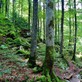 Image de couverture : Location de vacances à Livradois-Forez