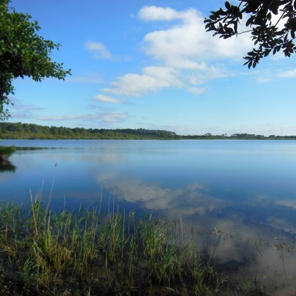 Image de couverture : Chambres d'hôtes à Biscarrosse