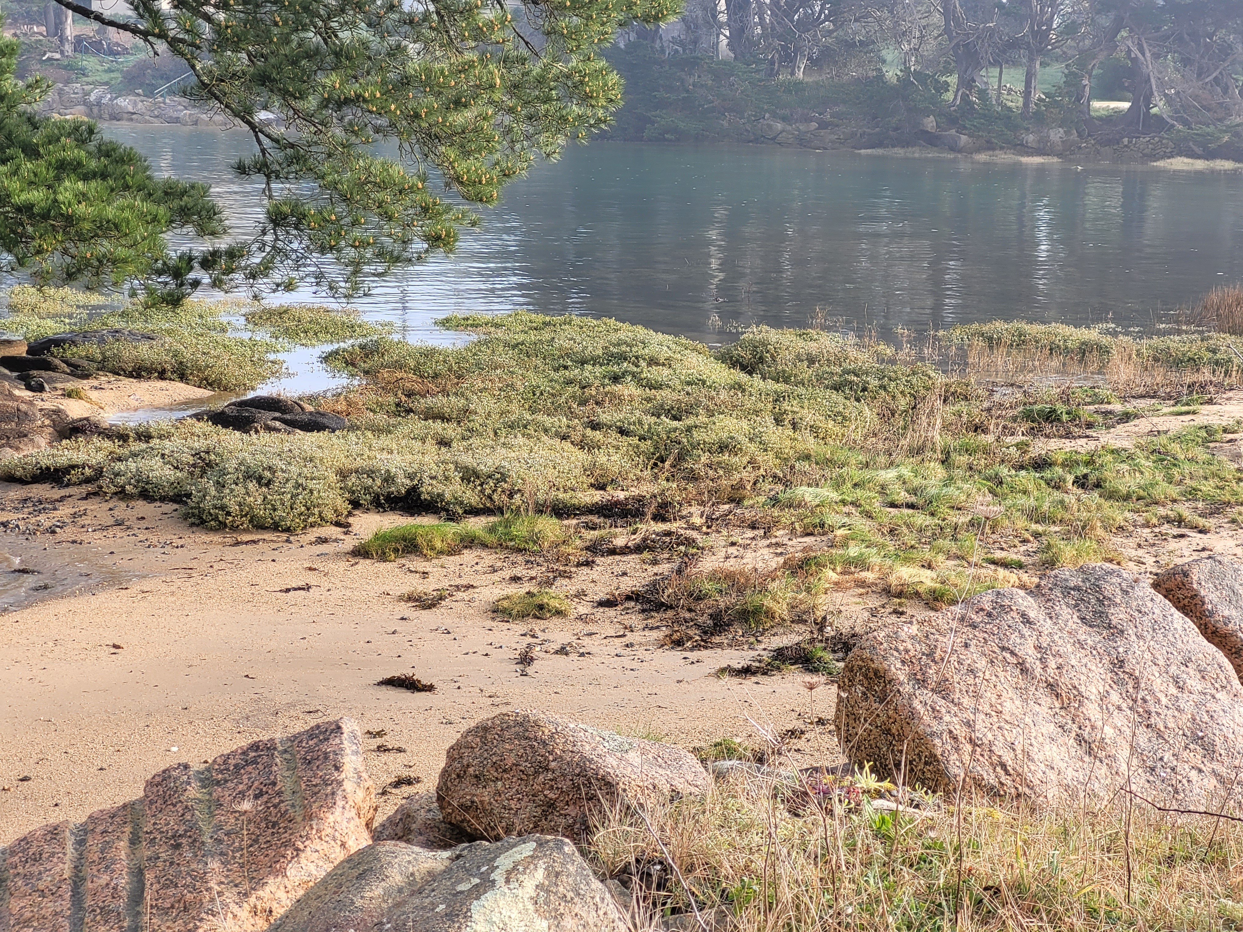 Cover image: Séjour en gîte à Trébeurden, nature et mer sur la côte de granit rose