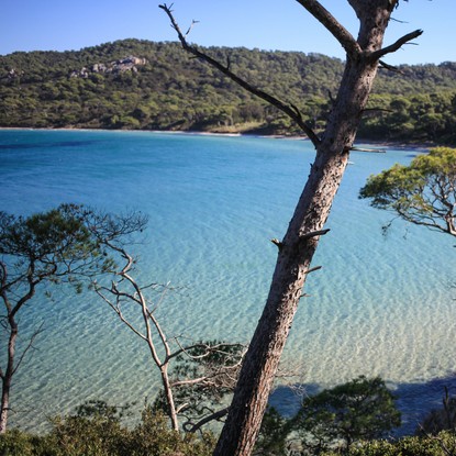 Vue sur la plage de Notre-Dame et ses eaux cristallines, dans un cadre paradisiaque de l'Ile de Porquerolles.