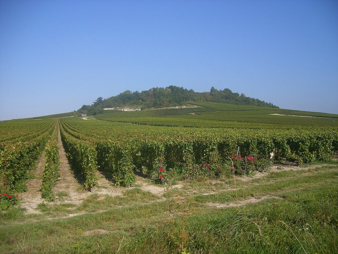 Image de couverture : Gîtes à Coupéville (51240)