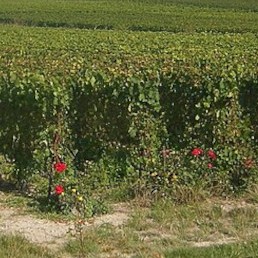 Cover image: Gîtes à Coupéville (51240)