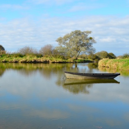 Cover image: Lac de Grand-Lieu : nature et détente en Loire-Atlantique