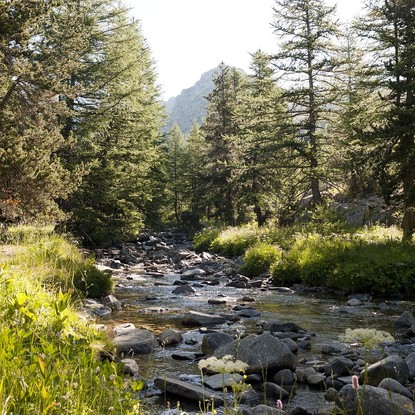 Image de couverture : Location de vacances Mercantour