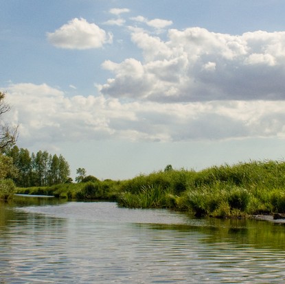 Cover image: Parc de Brière : nature préservée en Loire-Atlantique