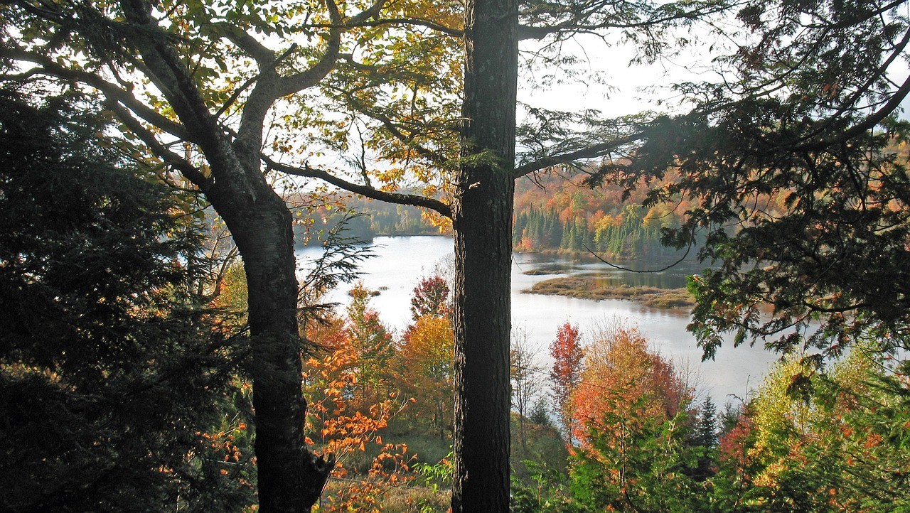 Vue sur la foret et l'eau à Soudron 51 Marne