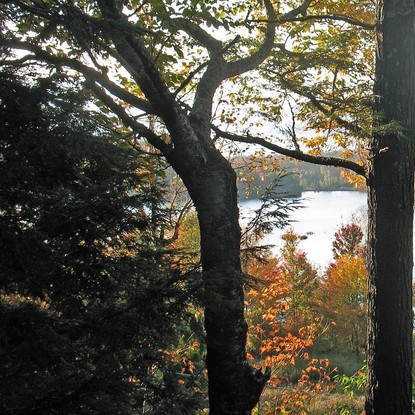 Vue sur la foret et l'eau à Soudron 51 Marne