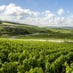 Cover image: La Route Touristique dans la Marne