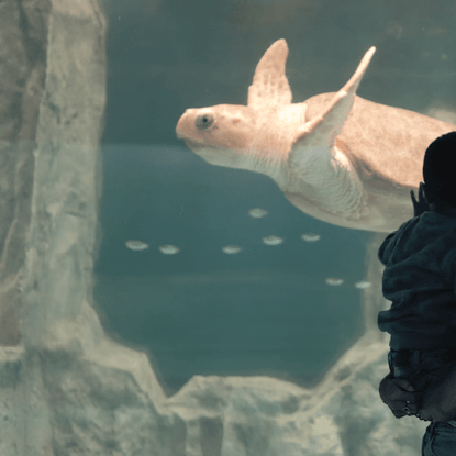 Image de couverture : Grand Aquarium de Saint-Malo