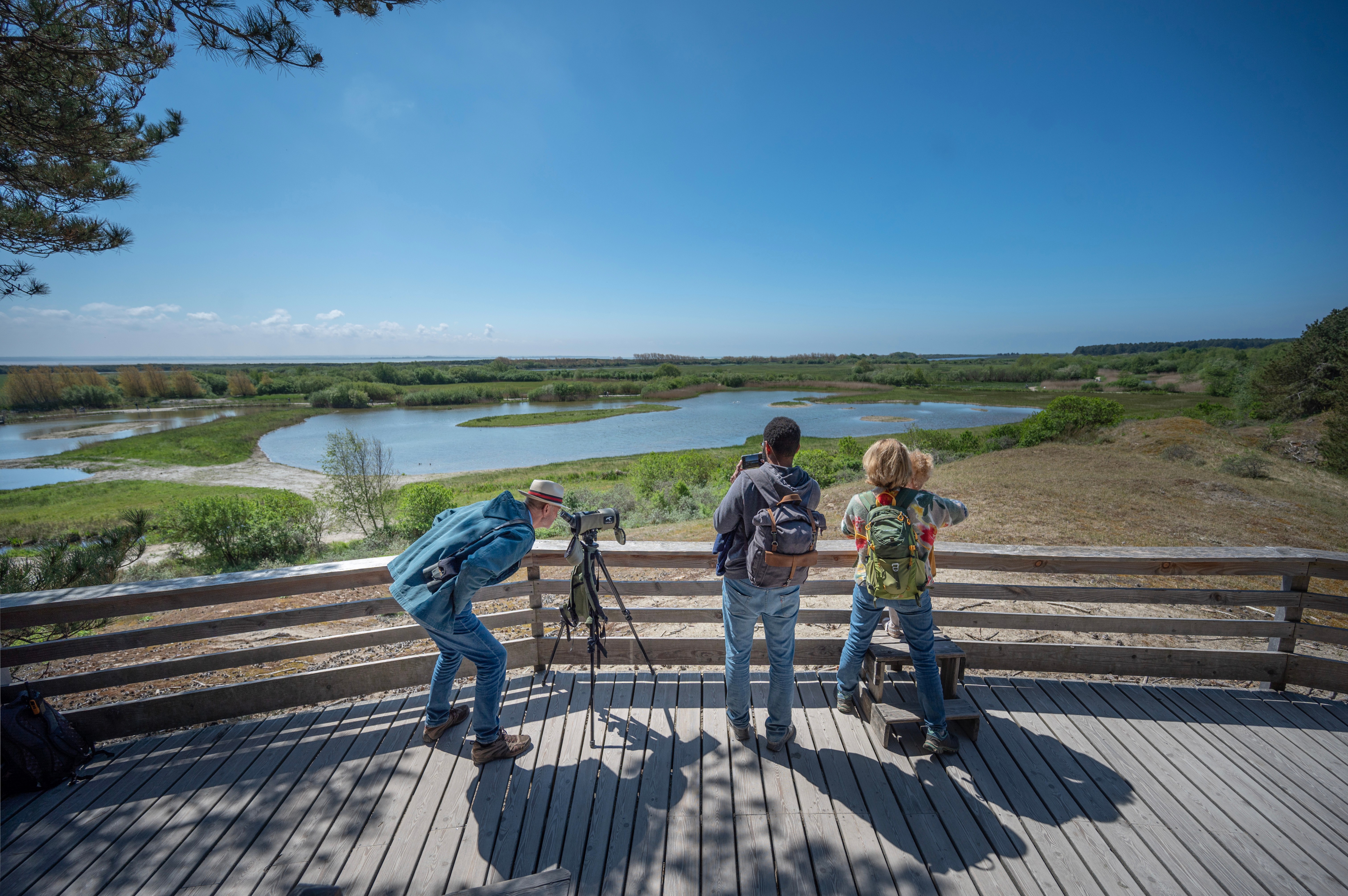 Cover image: Découvrez le Parc du Marquenterre en Somme : Refuge d'Ornithologie