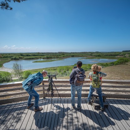Image de couverture : Découvrez le Parc du Marquenterre en Somme : Refuge d'Ornithologie