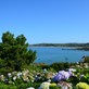 Cover image: Locations de vacances dans le Cotentin