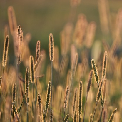 Vue sur la nature et les champs à Éclance 10 Aube